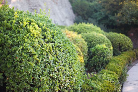 Landscaping Design Elements Affect Homes for Sale in Parrish